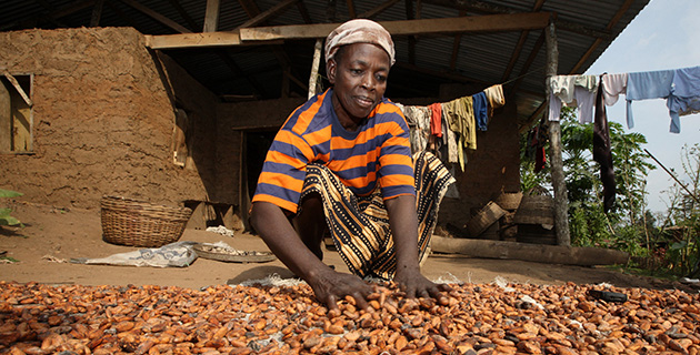 cocoa-farmers-nigeria_1.jpg