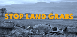 polochic-valle-guatemala-land-grab-web_1.png