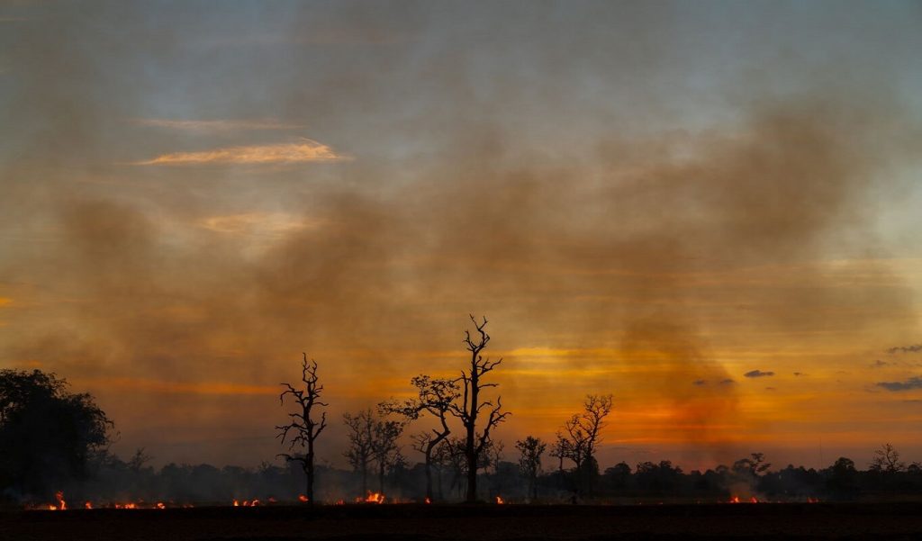 In an open field at dusk, burned trees are surrounded by wildfire on the ground and smoke-filled skies.