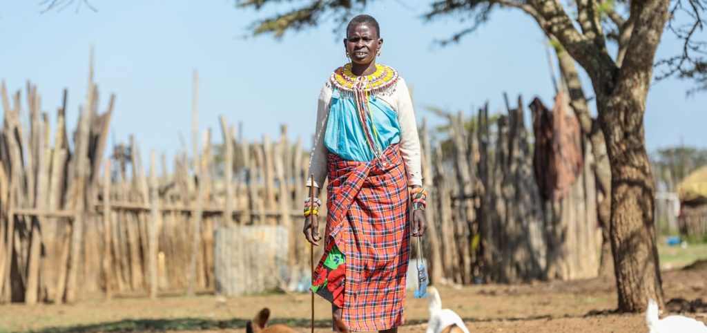 Damaris Leleruk (55), program participant for cash transfer project looking after her goats at her home in Samburu County.