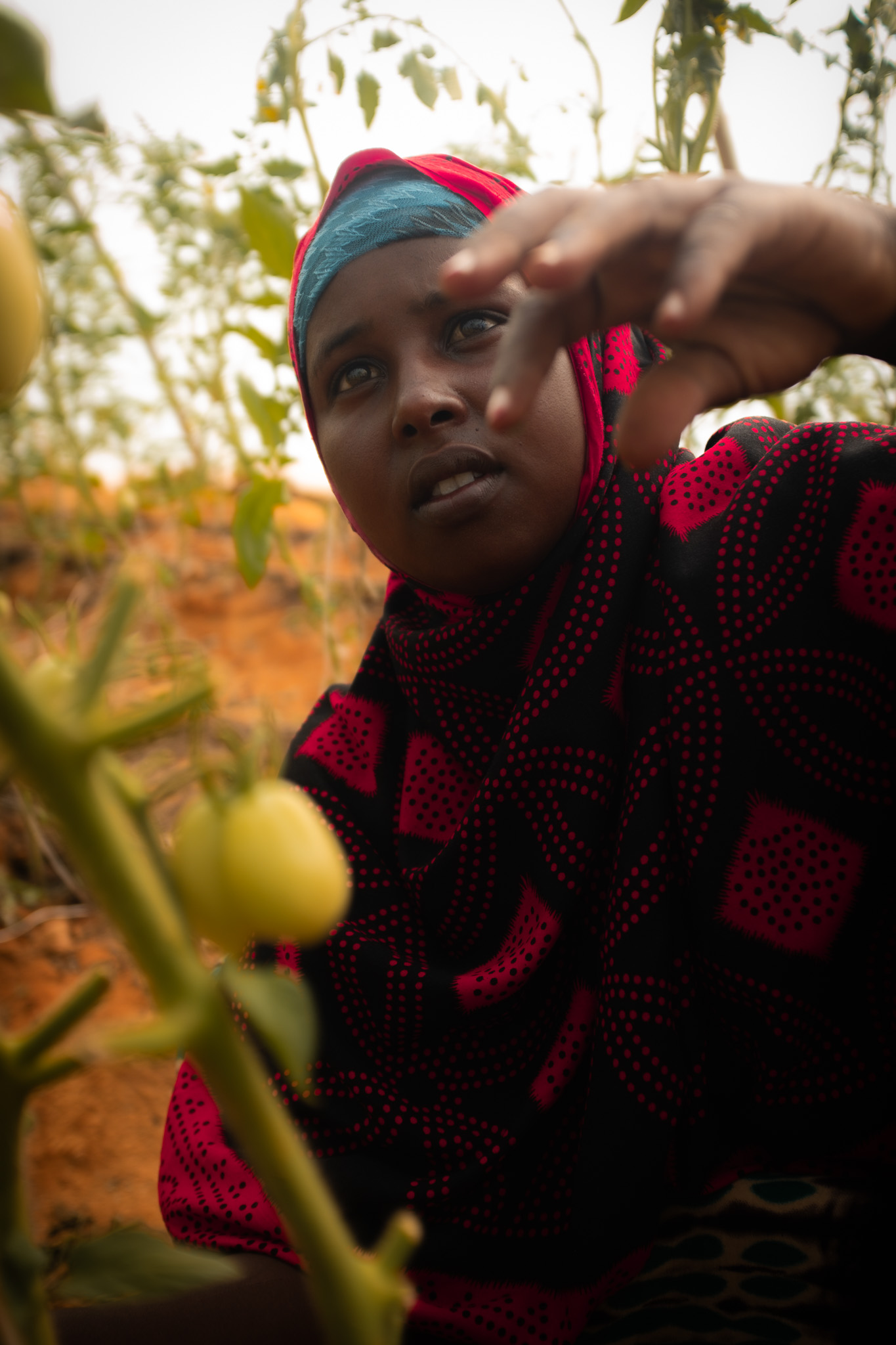 Nimo is a member of the greenhouse cooperative. Photo: Caroline Leal/Oxfam