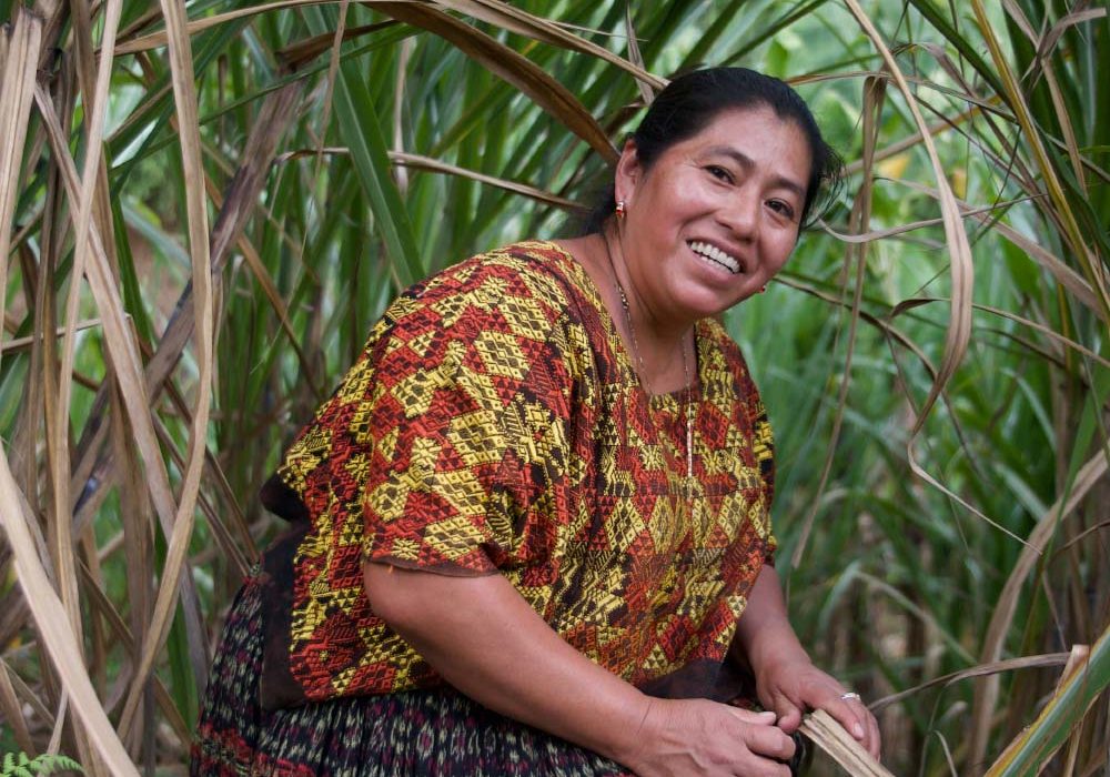 A woman smiles for the camera while harvesting palm leaves.